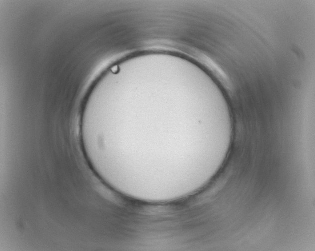 X0000115421376200911241339