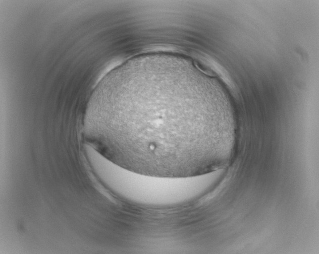 X0000115421377200911241339