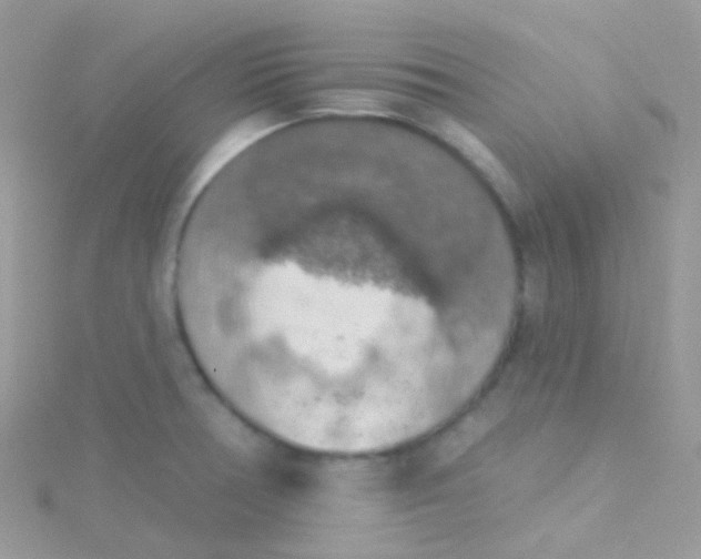 X0000115421378200911241339