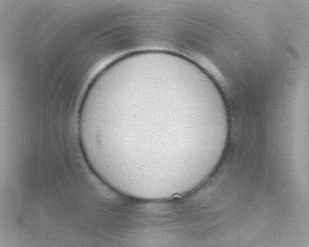 X0000115421380200911241339