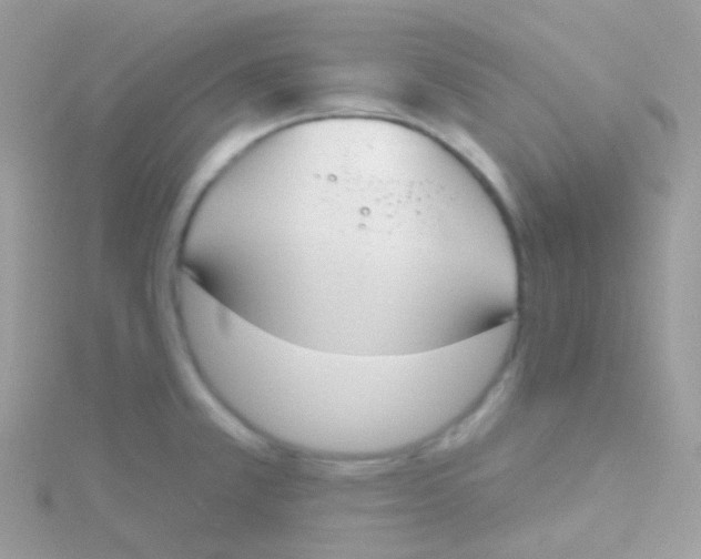 X0000115421381200911241339