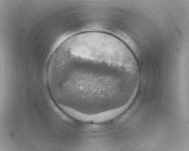 X0000115421382200911241339