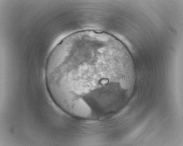 X0000115421383200911241339