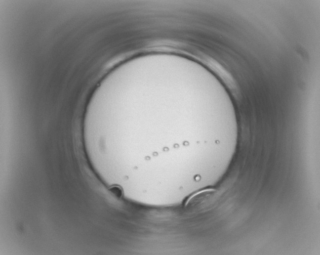 X0000115421384200911241339