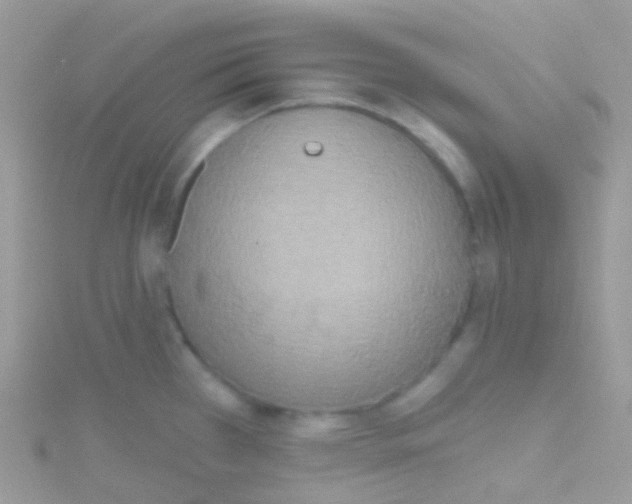 X0000115421385200911241339