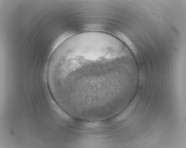 X0000115421386200911241339