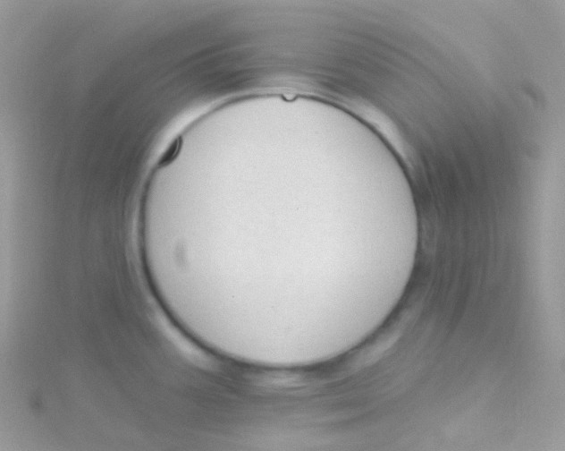 X0000115421387200911241339