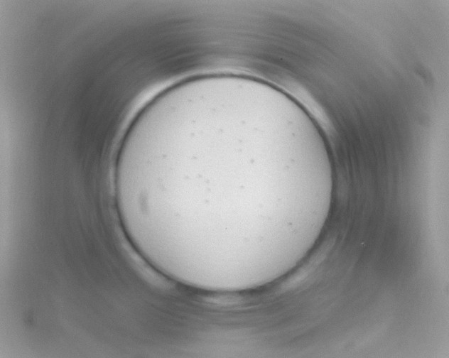 X0000115421388200911241339