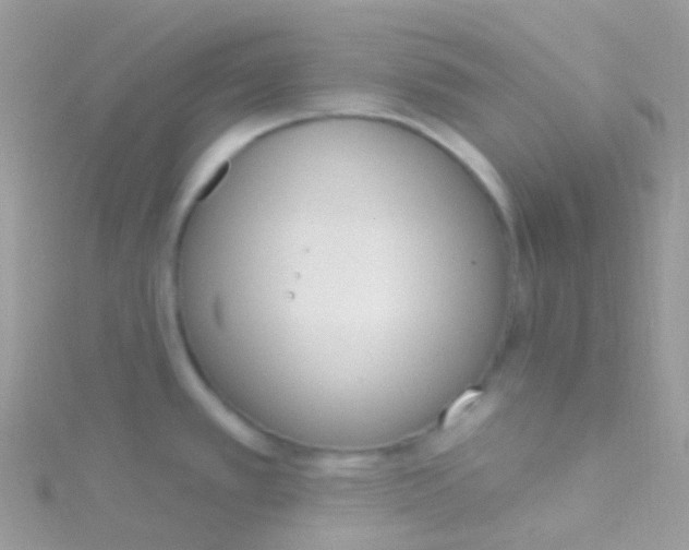 X0000115421389200911241339