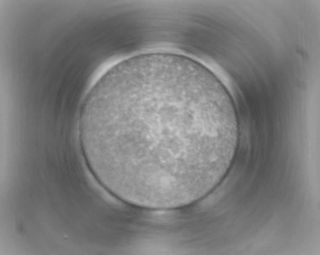 X0000115421390200911241339