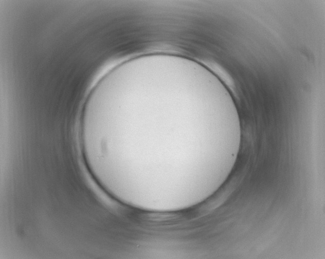 X0000115421391200911241339