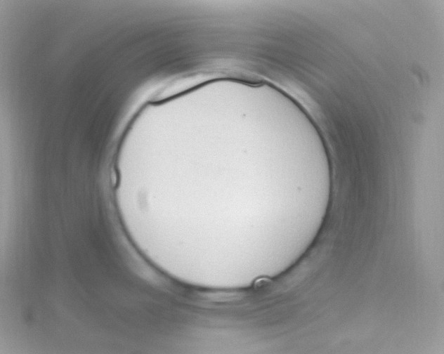 X0000115421392200911241339