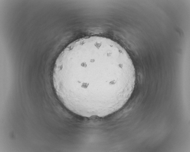 X0000115421393200911241338