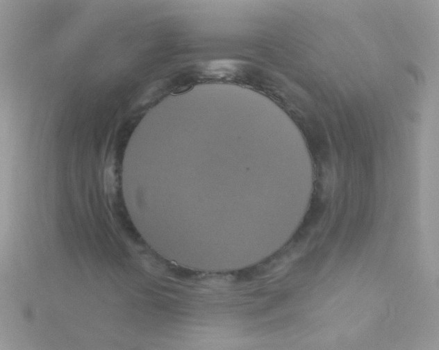 X0000115421394200911241338