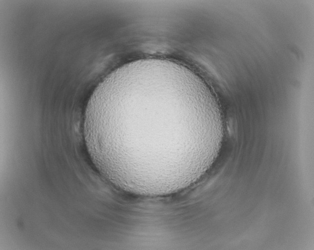 X0000115421396200911241338