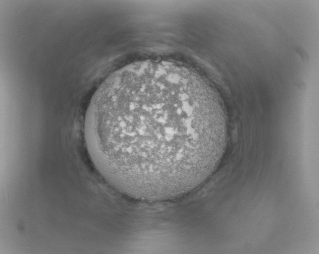 X0000115421397200911241338