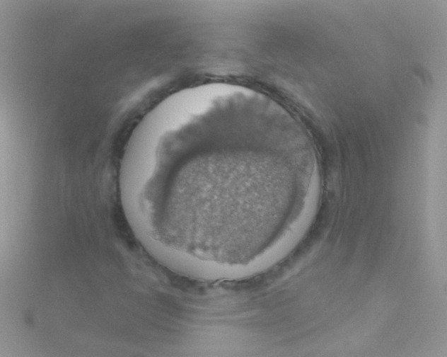 X0000115421398200911241338