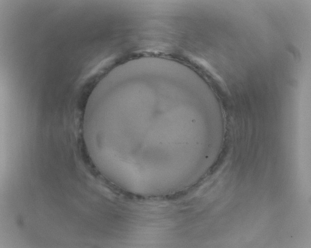 X0000115421399200911241338