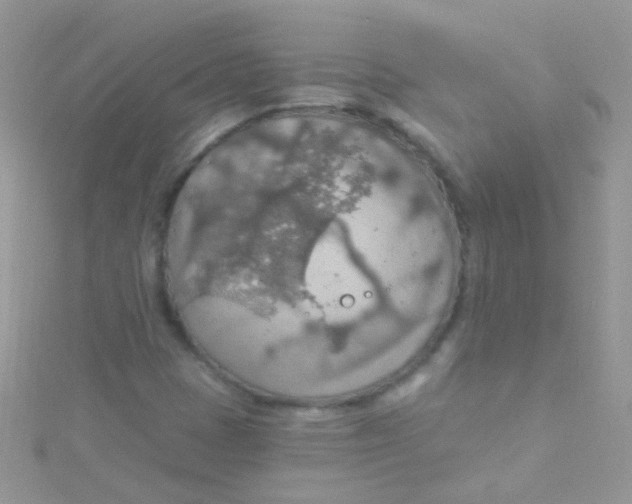 X0000115421401200911241339