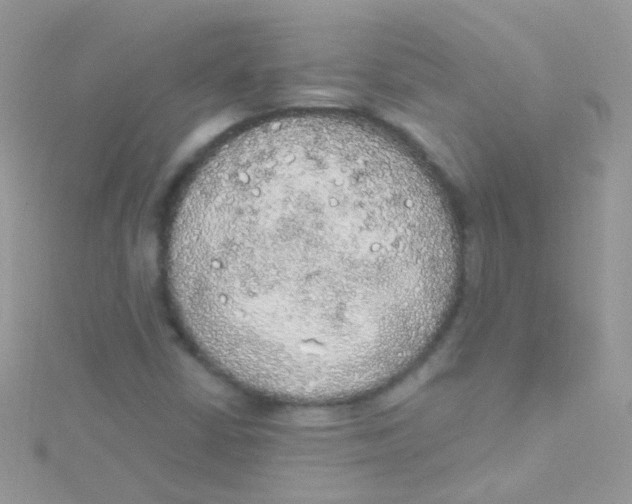 X0000115421402200911241339