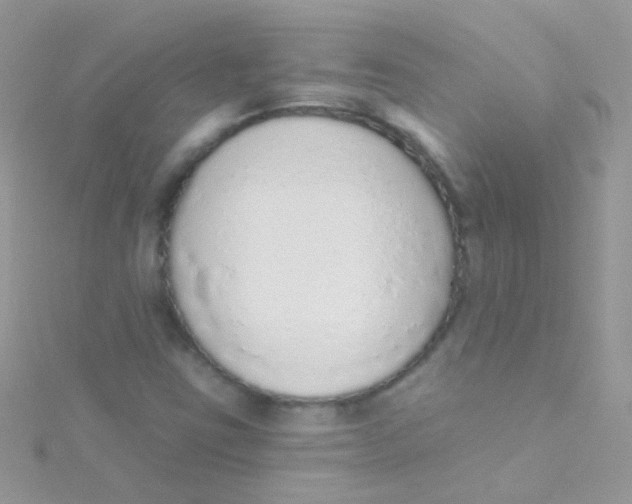 X0000115421403200911241339