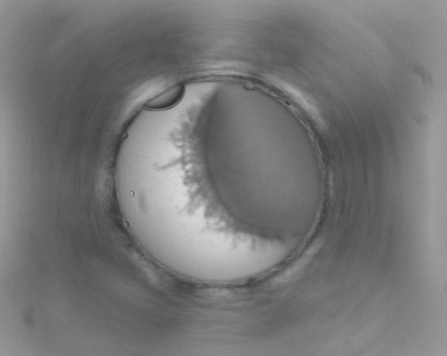 X0000115421405200911241339