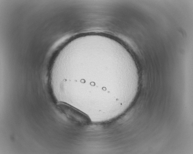 X0000115421406200911241339