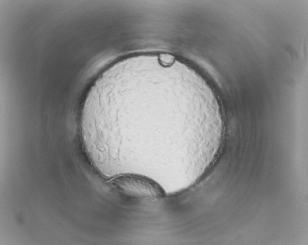 X0000115421407200911241339