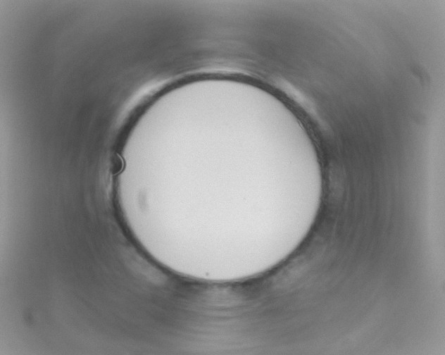 X0000115421408200911241339