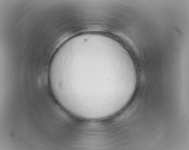 X0000115421409200911241339