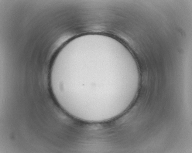 X0000115421410200911241339