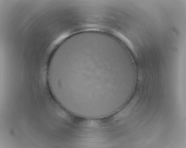 X0000115421411200911241339