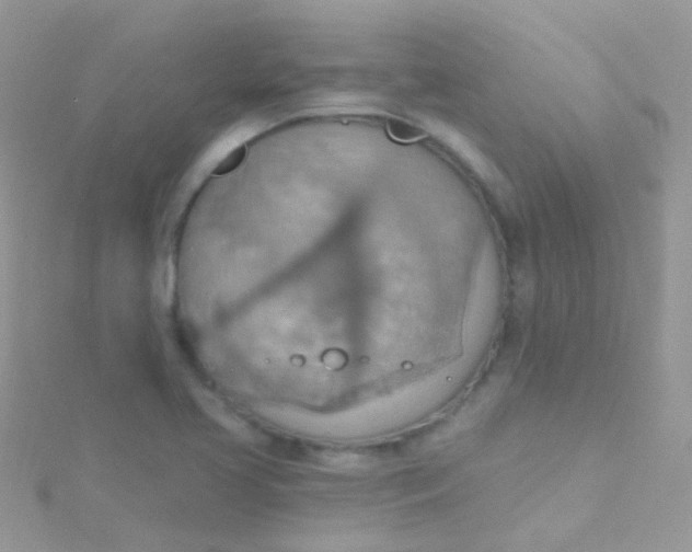 X0000115421413200911241339