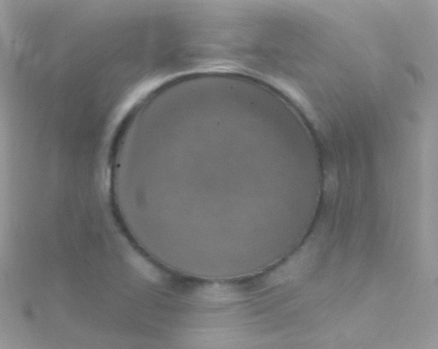 X0000115421414200911241339