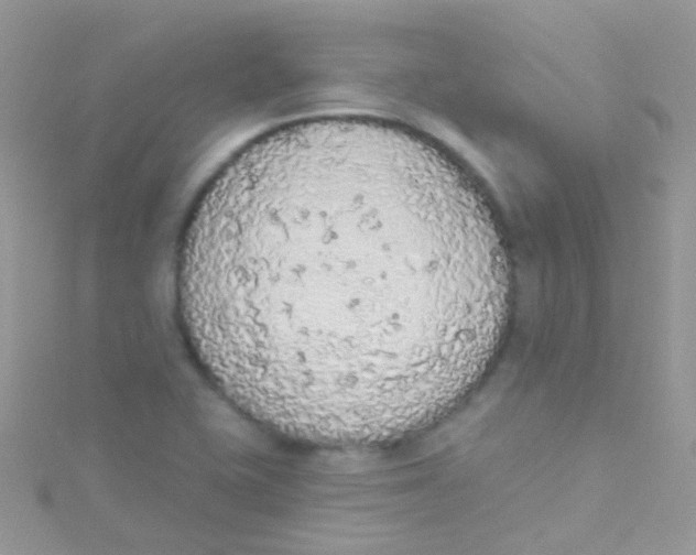 X0000115421415200911241339