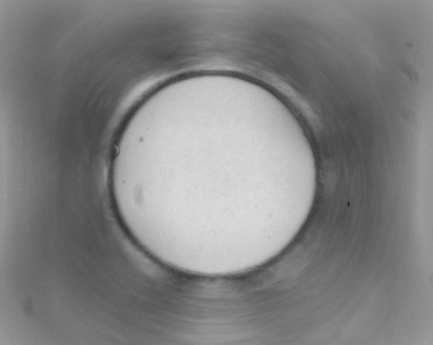 X0000115421416200911241339