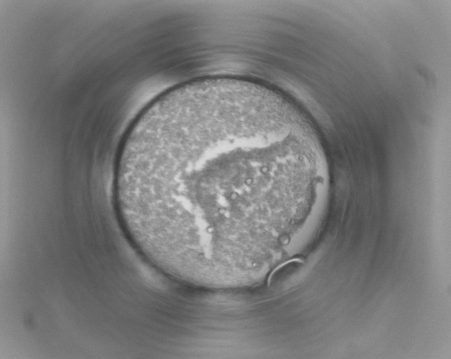 X0000115421418200911241339