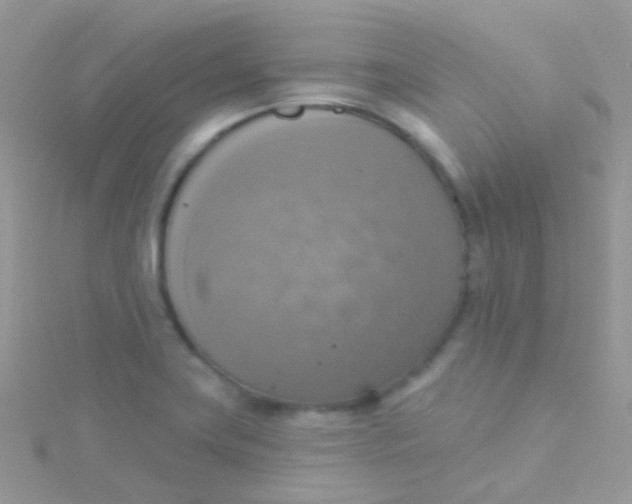 X0000115421419200911241339