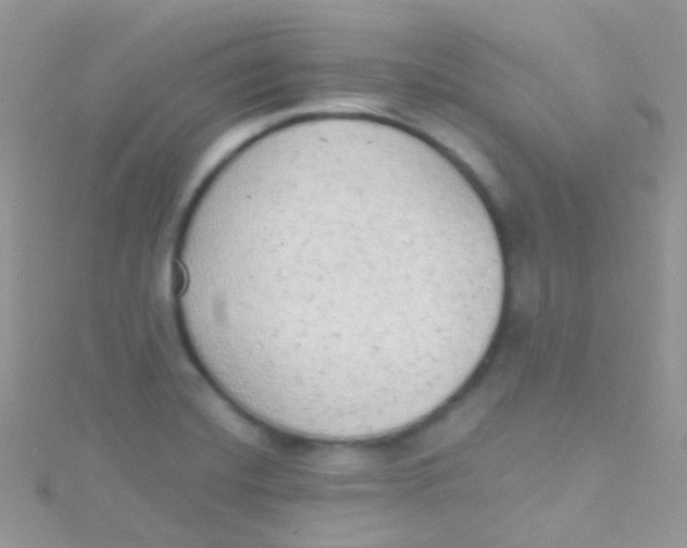 X0000115421420200911241339