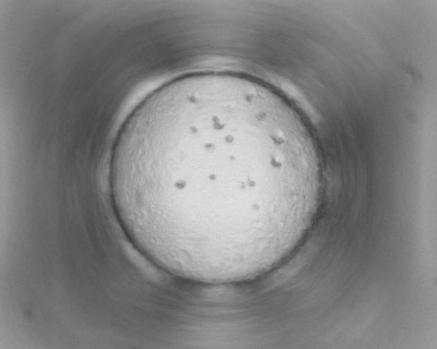 X0000115421421200911241339