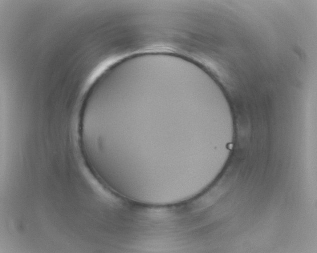 X0000115421422200911241339