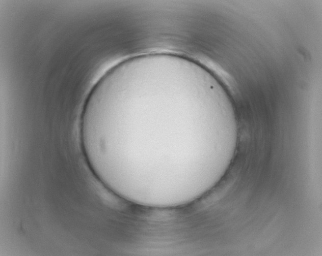 X0000115421423200911241339