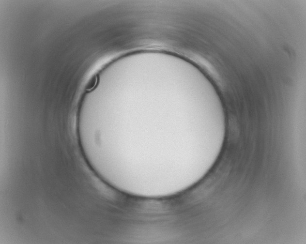 X0000115421424200911241339