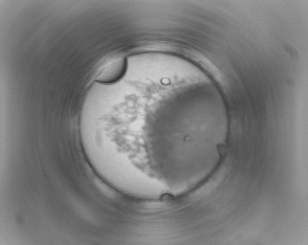 X0000115421425200911241339