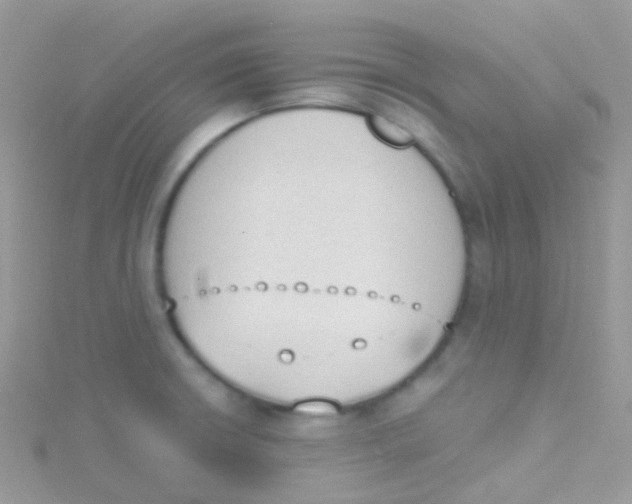 X0000115421426200911241339