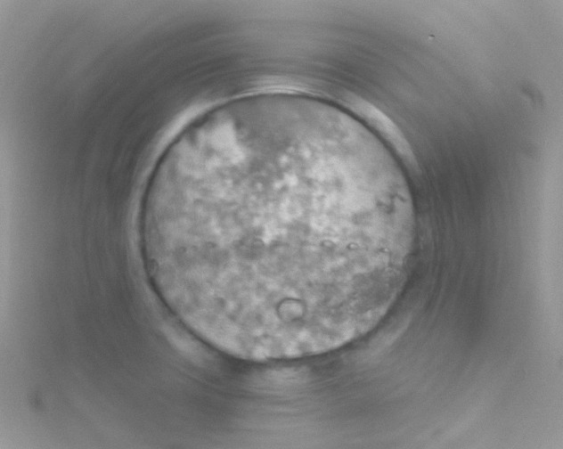 X0000115421427200911241339