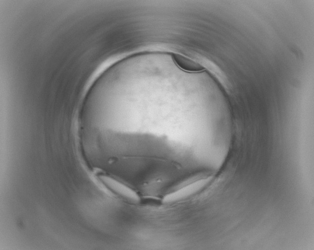 X0000115421428200911241339