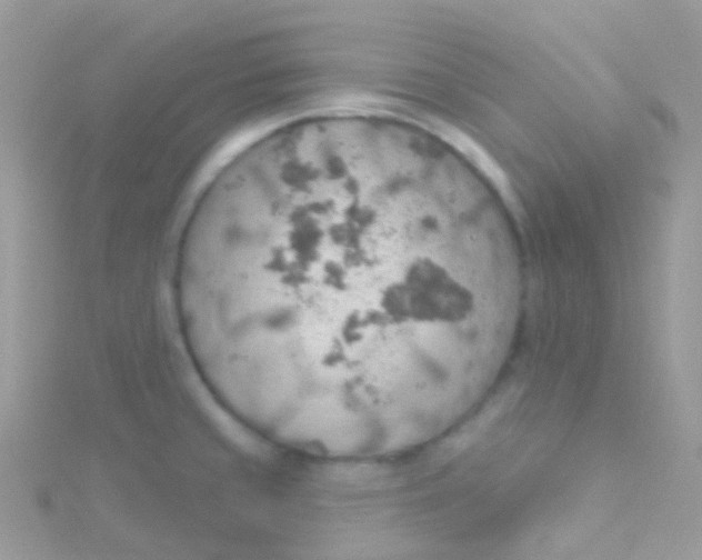 X0000115421429200911241339