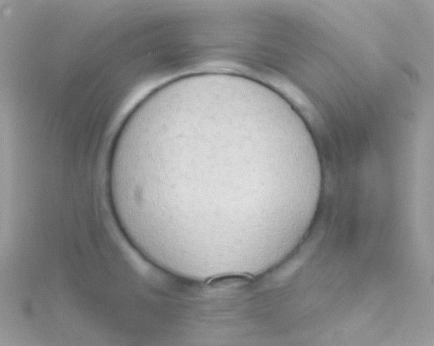 X0000115421430200911241339