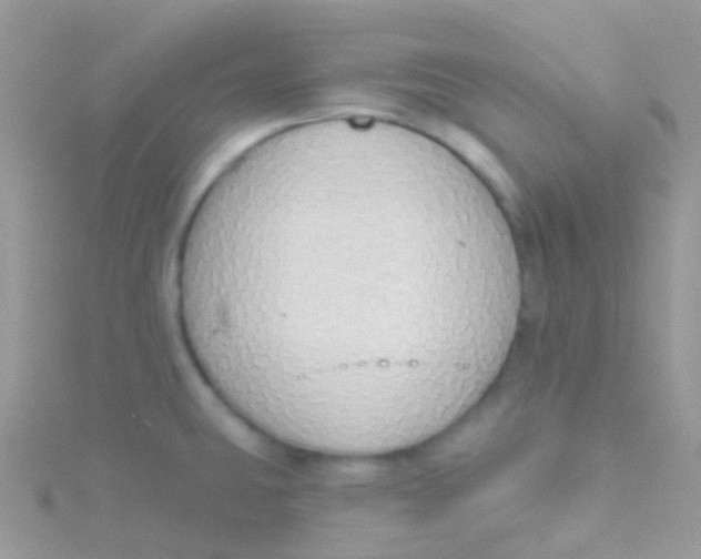 X0000115421431200911241339